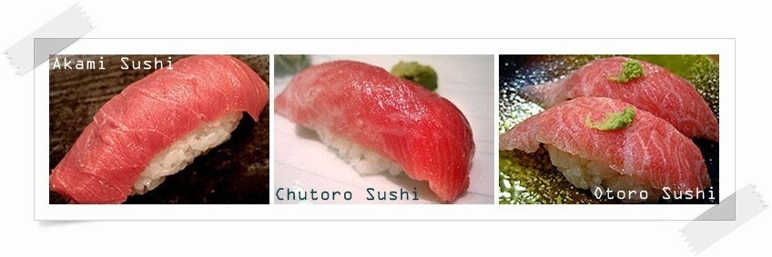 ซูชิหน้าปลาทูน่า Toro Otoro