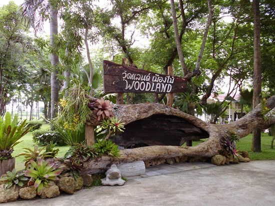 ที่เที่ยวนครปฐม วู้ดแลนด์เมืองไม้ Woodland Muangmai ร้านอาหาร นครปฐม พิณทอง เรือนแพ กุ้งเผา 