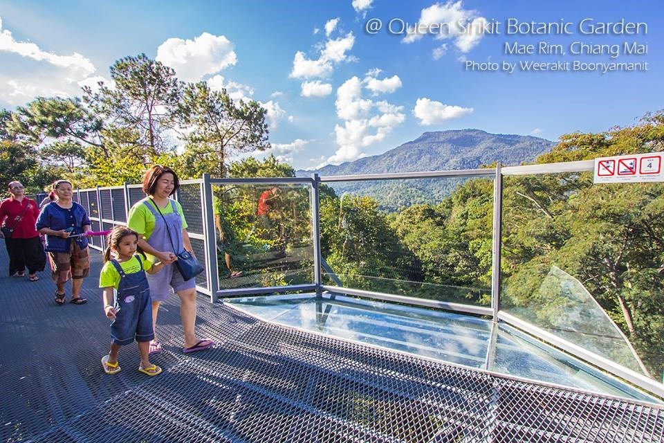 Canopy Walkway เส้นทางเดินชมธรรมชาติเหนือเรือนยอดไม้ของ องค์การสวนพฤกษศาสตร์ (อ.ส.พ.) ถือเป็นเส้นทางเดินชมธรรมชาติที่ยาวที่สุดในประเทศไทย ตั้งอยู่ภายในสวนพฤกษศาสตร์สมเด็จพระนางเจ้าสิริกิติ์ อำเภอแม่ริม จังหวัดเชียงใหม่