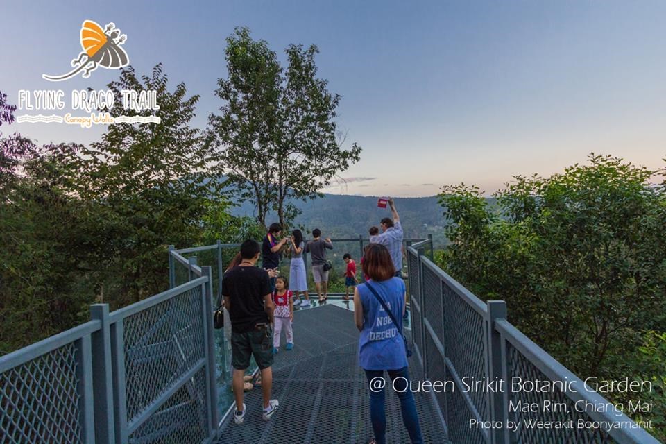 Canopy Walkway เส้นทางเดินชมธรรมชาติเหนือเรือนยอดไม้ของ องค์การสวนพฤกษศาสตร์ (อ.ส.พ.) ถือเป็นเส้นทางเดินชมธรรมชาติที่ยาวที่สุดในประเทศไทย ตั้งอยู่ภายในสวนพฤกษศาสตร์สมเด็จพระนางเจ้าสิริกิติ์ อำเภอแม่ริม จังหวัดเชียงใหม่