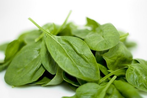 ใบผักปวยเล้ง Spinach