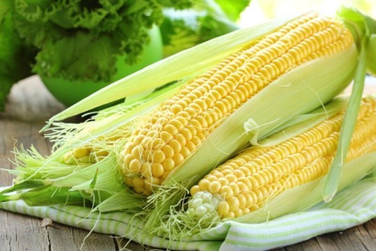 ข้าวโพดหวาน (Sweet Corn)