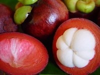 มังคุด - ประโยชน์ของผลไม้ไทยสำหรับหน้าร้อน