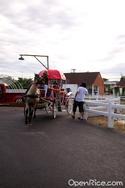 Swiss Sheep Farm ลัคกี้ซีฟู้ด 2